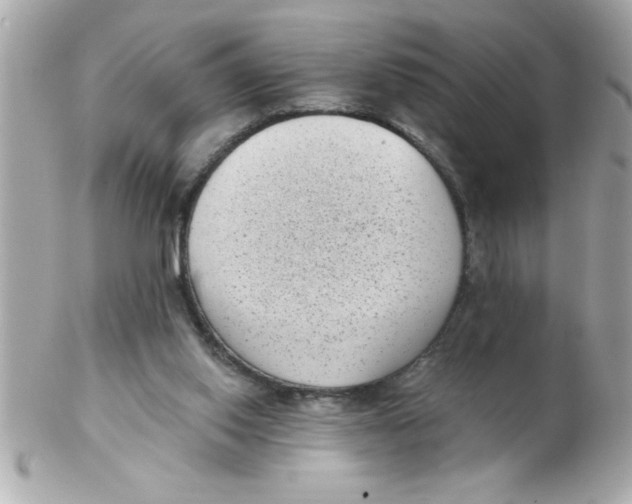 X0000102530062200808291829