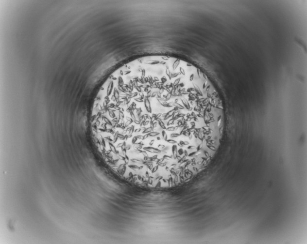 X0000102530063200808291829