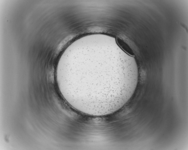 X0000102530064200808291829