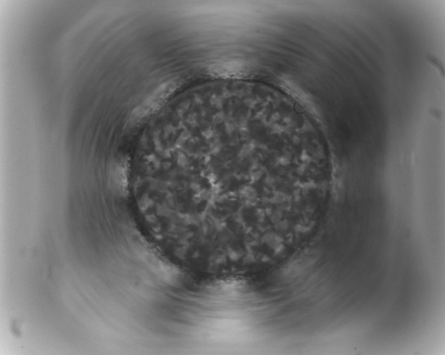 X0000102530065200808291829