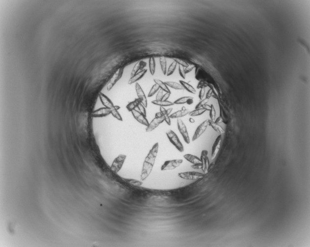 X0000102530066200808291829