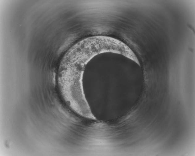 X0000102530067200808291829