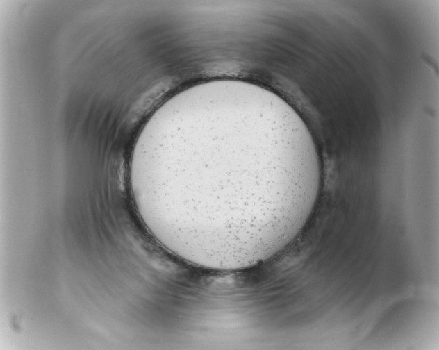 X0000102530068200808291829