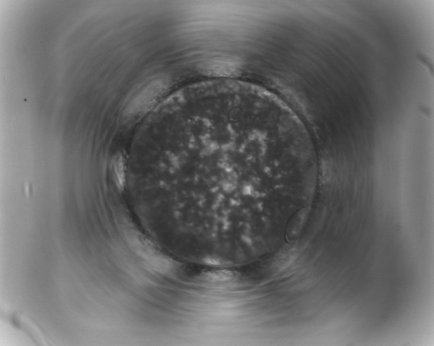 X0000102530069200808291829