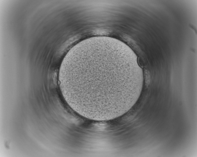 X0000102530071200808291829
