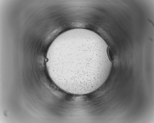 X0000102530072200808291829
