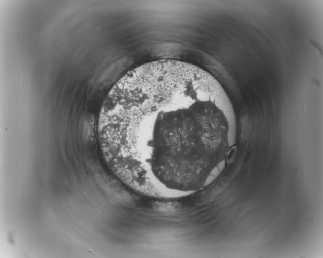 X0000102530073200808291829