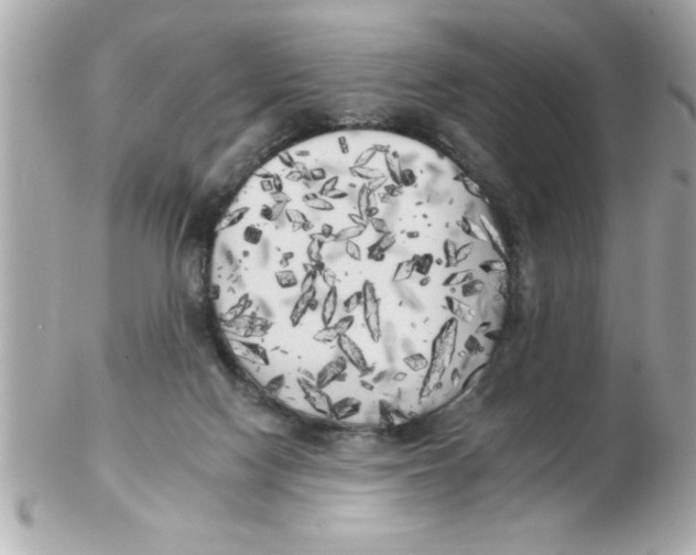 X0000102530074200808291829