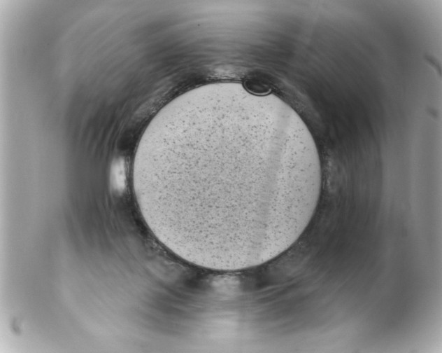 X0000102530075200808291829