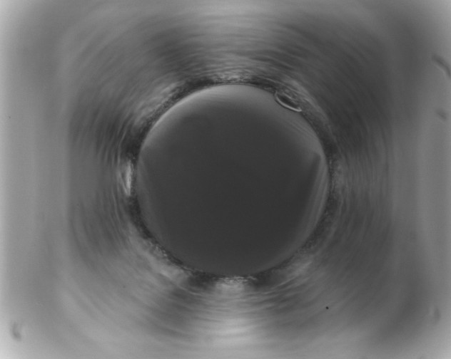 X0000102530076200808291829
