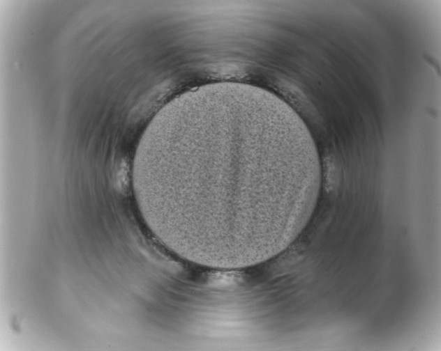 X0000102530077200808291829