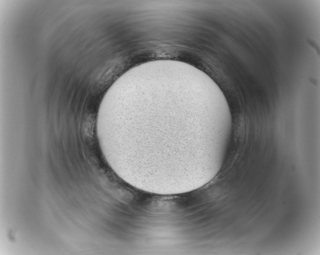 X0000102530078200808291829
