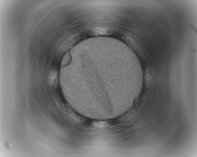 X0000102530079200808291829
