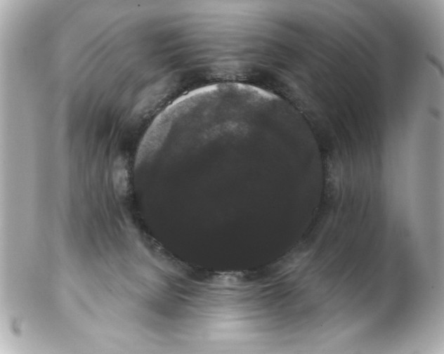X0000102530080200808291829
