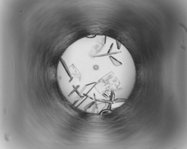 X0000102530081200808291829