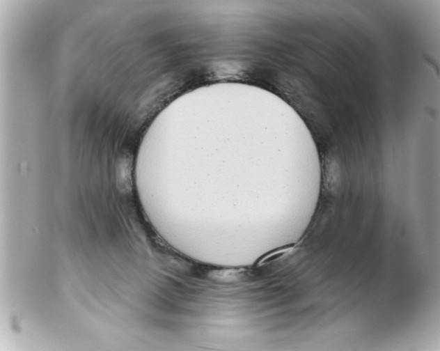 X0000102530082200808291829