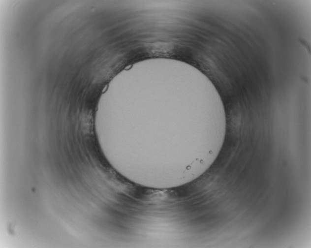 X0000102530083200808291829