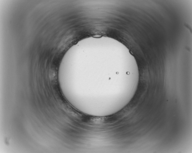 X0000102530084200808291829