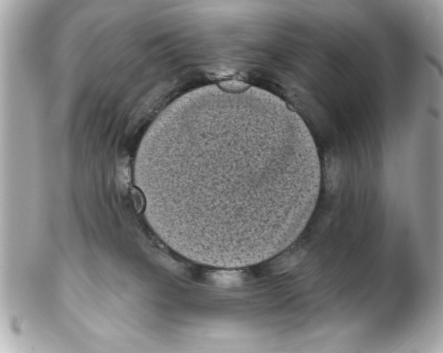 X0000102530085200808291829