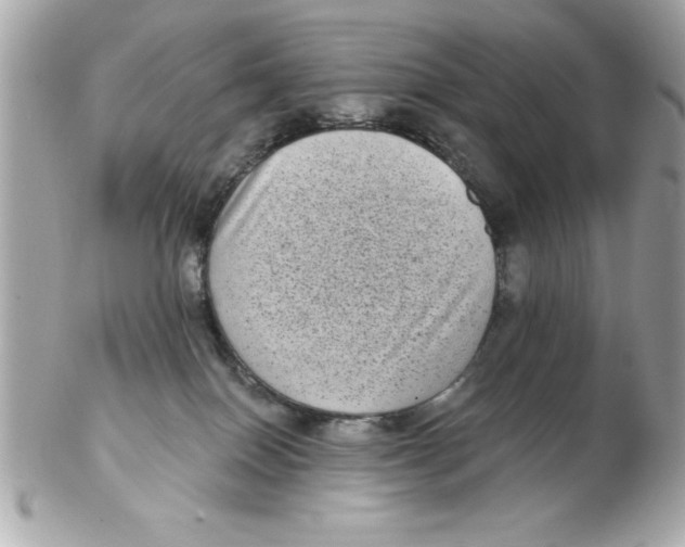 X0000102530086200808291829