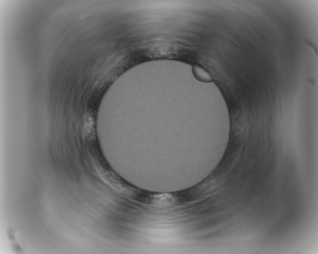 X0000102530087200808291829