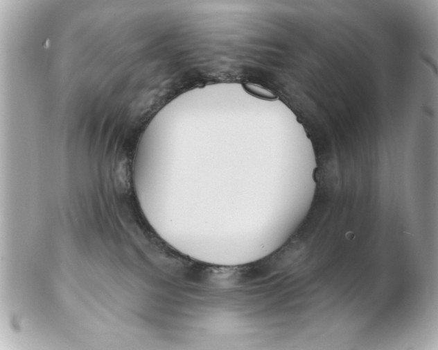 X0000102530088200808291829