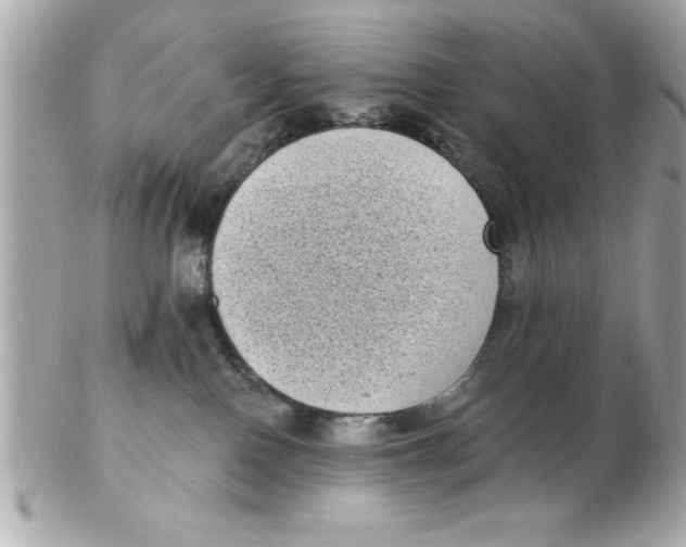 X0000102530090200808291829