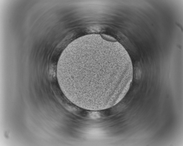 X0000102530091200808291829