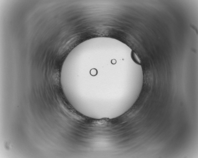 X0000102530092200808291829