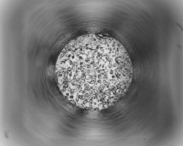 X0000102530093200808291829