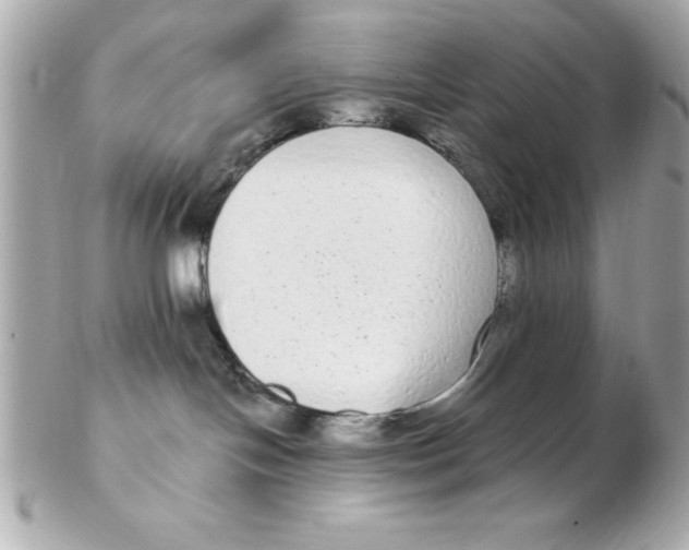 X0000102530094200808291829