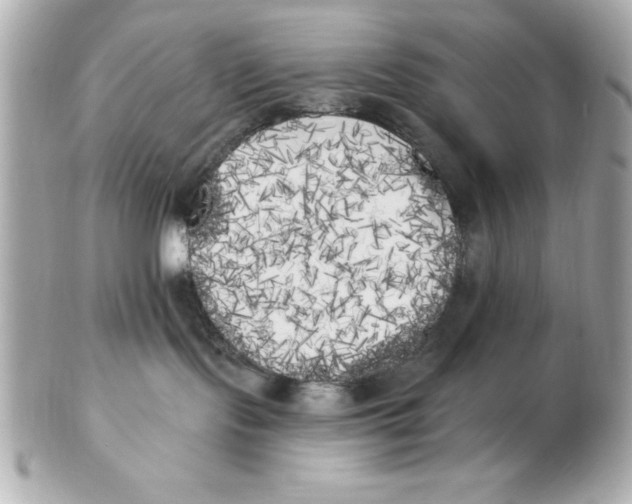 X0000102530095200808291829