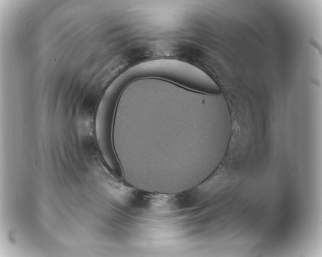 X0000102530096200808291829