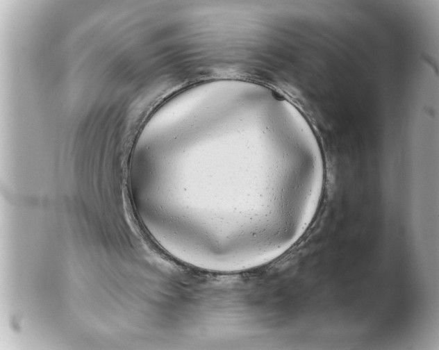 X0000102530097200808291829