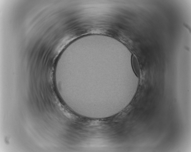 X0000102530098200808291829