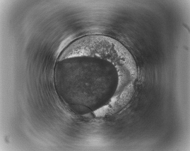 X0000102530099200808291829