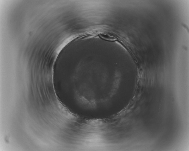 X0000102530100200808291829