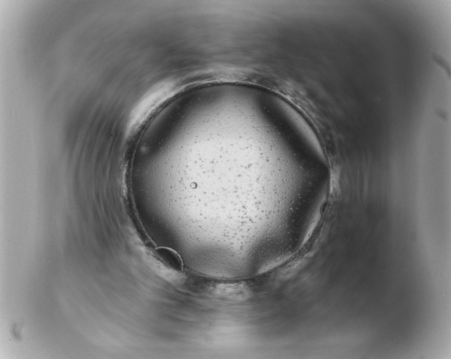 X0000102530101200808291829