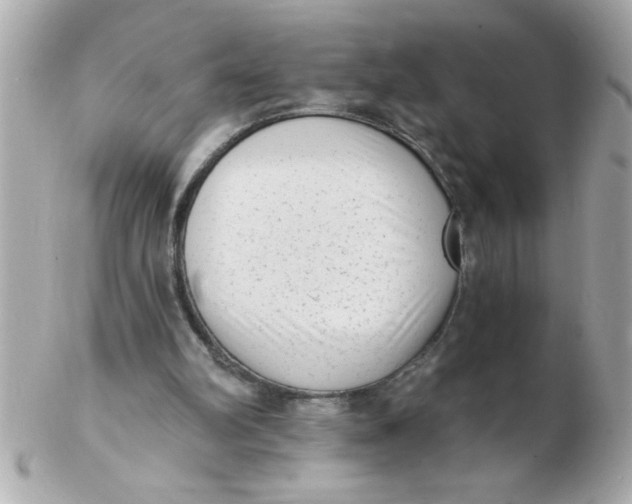 X0000102530102200808291829