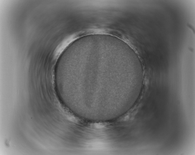 X0000102530103200808291828