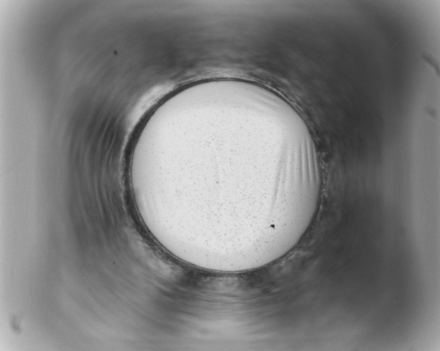 X0000102530104200808291828