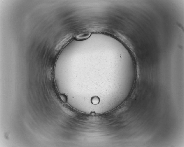X0000102530105200808291828