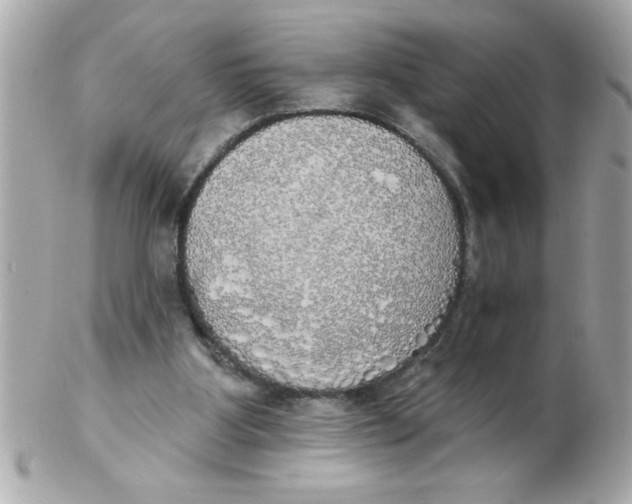 X0000102530107200808291828