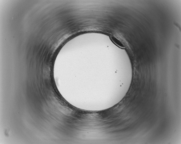 X0000102530108200808291828