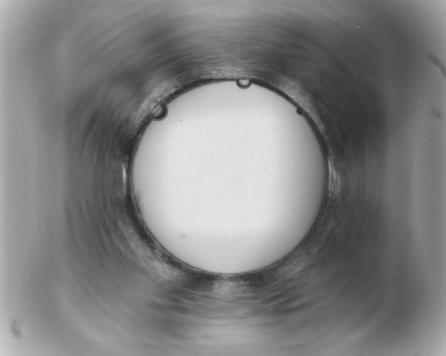 X0000102530109200808291828
