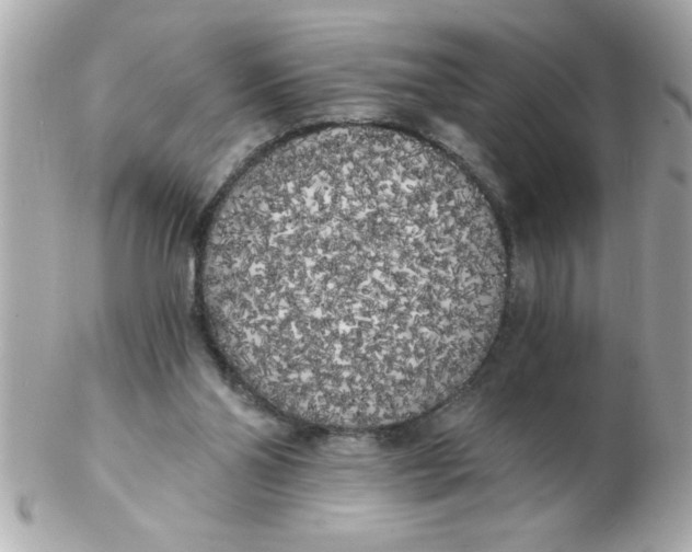 X0000102530110200808291828
