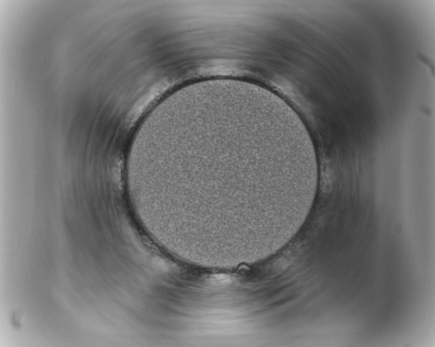 X0000102530111200808291828