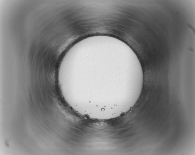 X0000102530112200808291828