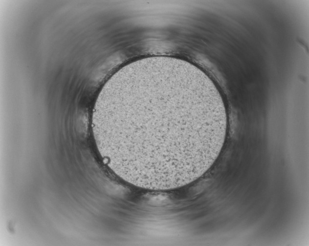 X0000102530113200808291828