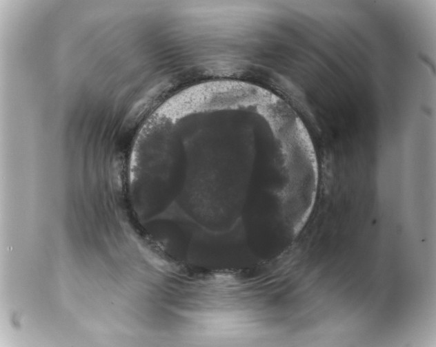 X0000102530114200808291828
